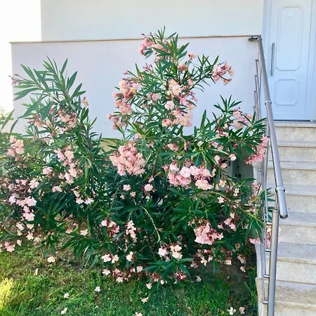 Be Happy * Vourvourou