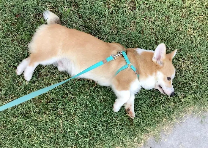 Be Happy Apartamento