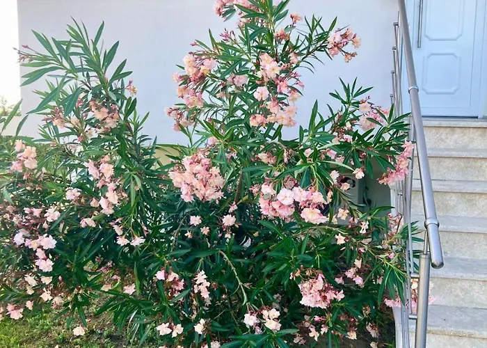 Be Happy * Vourvourou