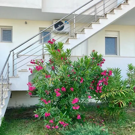 Be Happy * 沃尔沃罗